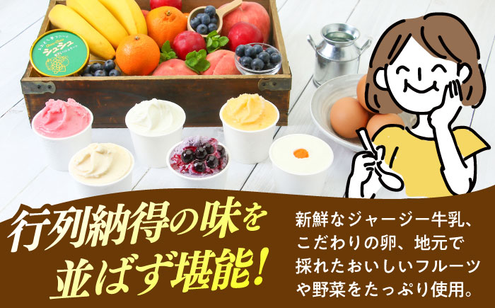 【3回定期便】シュシュのスペシャルジェラート12個セット（定番/季節限定/スペシャル2種） / アイス アイスクリーム ジェラート スイーツ /  大村市 / おおむら夢ファームシュシュ [ACAA420]