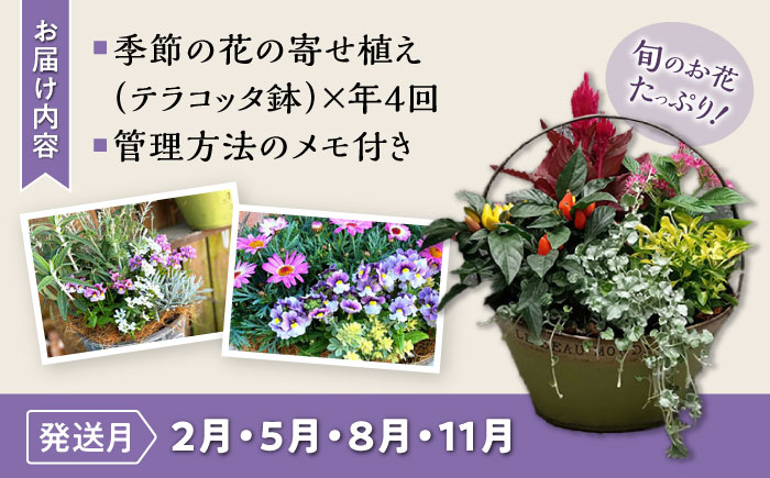 【4回定期便】おまかせ 季節の寄せ植え プランター / 寄せ植え 鉢植え テラコッタ鉢 花 季節の花 プランター / 大村市 アトリウム琴花園[ACZZ006]