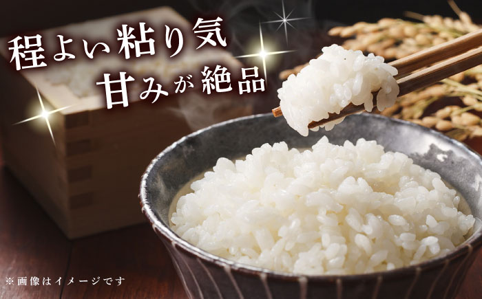 【令和7年度産】【全12回定期便】お米5kg 定期便コース 米 白米 大村市 一般社団法人大村市物産振興協会 [ACAB143]