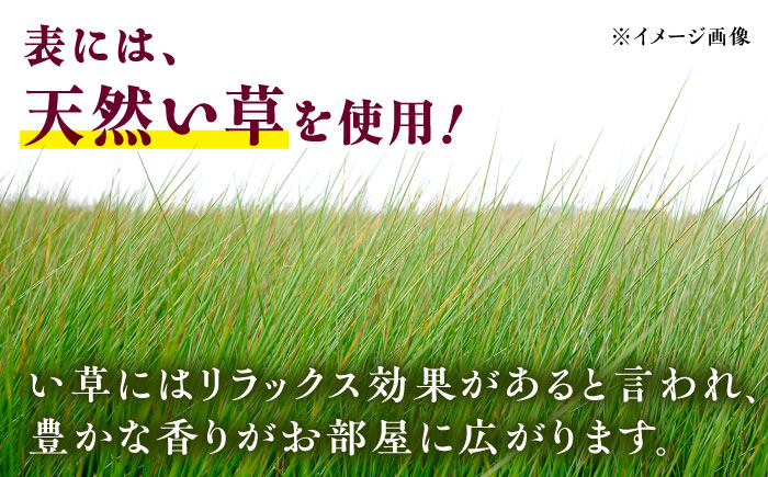 畳屋さんが作った！「わんぱく畳」天然い草半畳タイプ（おむらんちゃん縁）/ 畳 おしゃれ畳 新生活 一人暮らし / 大村市 / 株式会社勝手[ACZJ001]