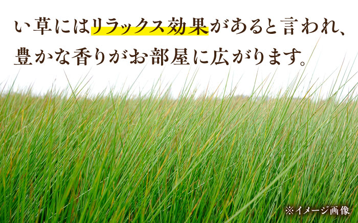 畳屋さんが作った！い草の上敷き (2枚) 面ファスナー付き (おむらんちゃん縁) / 畳 おしゃれ畳 新生活 一人暮らし / 大村市 / 株式会社勝手[ACZJ002]