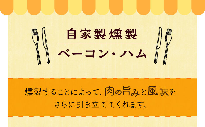 自家製 燻製ベーコンハムセット feliz（フェリス）大村市 Torres手作りハムベーコン工房[ACYW001]