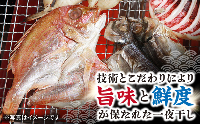 レンコ鯛 一夜干し 計900g (300g×3枚) / 鯛 たい れんこだい レンコダイ れんこ鯛 レンコ鯛 一夜干し 干物 ひもの / 大村市 / 株式会社ナガスイ[ACYQ016]