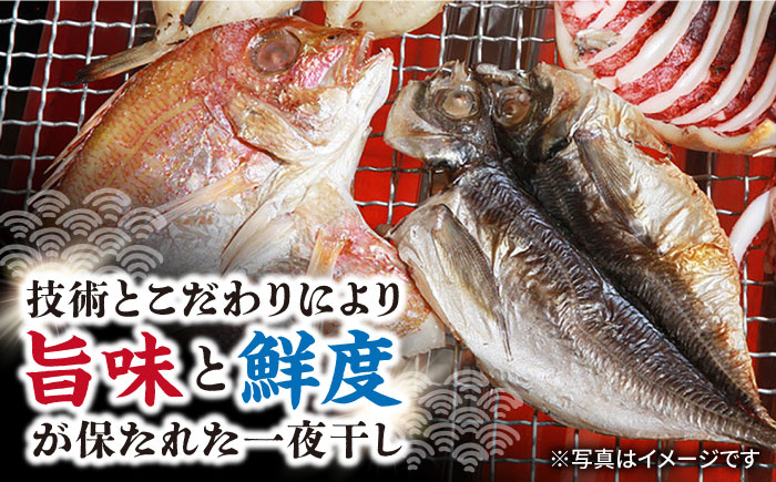 磯の味セット小 5種詰め合わせ（ レンコ鯛 いわし明太漬 ふぐ あじ 炙り鯛茶漬 ）/ れんこ鯛 鯛 タイ たい いわし イワシ 鰯 明太子 めんたいこ フグ 河豚 アジ 鯵 鯛茶漬 お茶漬け / 大村市 / 株式会社ナガスイ[ACYQ017]
