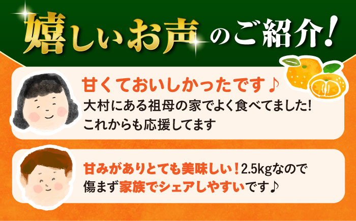 【11月中旬頃～1月中旬配送】長崎県産 温州みかん 約2.5kg 大村市 山光農園 [ACAI001]