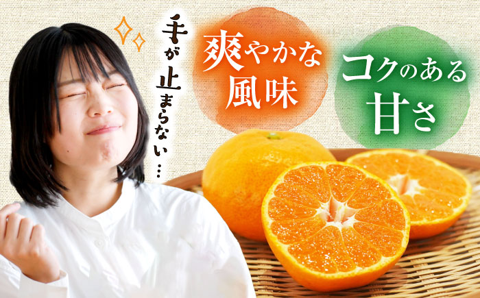 【11月中旬頃～1月中旬配送】長崎県産 温州みかん 約10kg 大村市 山光農園 [ACAI003]
