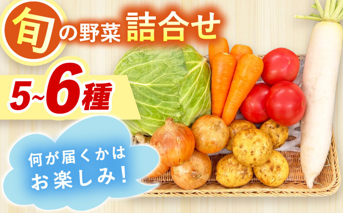 採れたてお野菜おまかせセット（5～6種）/ 野菜 やさい 野菜セット 野菜詰め合わせ 詰め合わせ セット / 大村市 / かとりストアー [ACAN104]