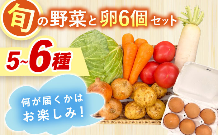 採れたてお野菜おまかせ（5～6種）・卵6個セット/ 野菜 やさい 野菜セット 野菜詰め合わせ 詰め合わせ セット たまご 卵 タマゴ 紅たまご こだまさんち / 大村市 / かとりストアー [ACAN105]