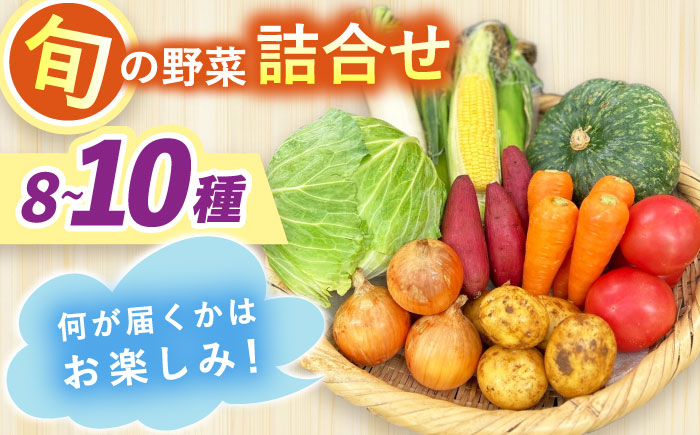 採れたてお野菜おまかせセット（8～10種）/ 野菜 やさい 野菜セット 野菜詰め合わせ 詰め合わせ セット / 大村市 / かとりストアー [ACAN106]