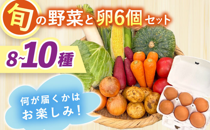 採れたてお野菜おまかせ（8～10種）・卵6個セット/ 野菜 やさい 野菜セット 野菜詰め合わせ 詰め合わせ セット たまご 卵 タマゴ 紅たまご こだまさんち / 大村市 / かとりストアー [ACAN107]