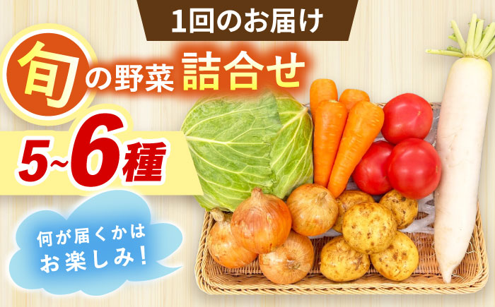 【全3回定期便】採れたてお野菜おまかせセット（5～6種）/ 野菜 やさい 野菜セット 野菜詰め合わせ 詰め合わせ セット / 大村市 / かとりストアー [ACAN126]
