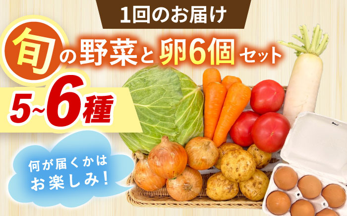 【全12回定期便】採れたてお野菜おまかせ（5～6種）・卵6個セット/ 野菜 やさい 野菜セット 野菜詰め合わせ 詰め合わせ セット たまご 卵 タマゴ 紅たまご こだまさんち / 大村市 / かとりストアー [ACAN132]