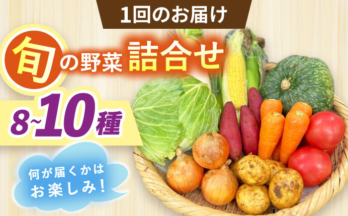 【全12回定期便】採れたてお野菜おまかせセット（8～10種）/ 野菜 やさい 野菜セット 野菜詰め合わせ 詰め合わせ セット / 大村市 / かとりストアー [ACAN135]
