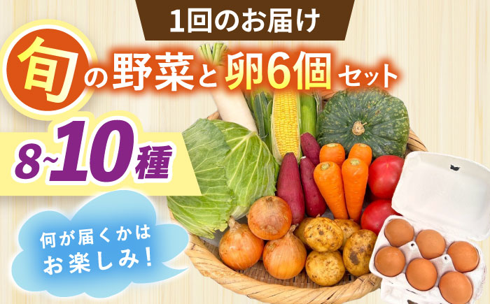 【全3回定期便】採れたてお野菜おまかせ（8～10種）・卵6個セット/ 野菜 やさい 野菜セット 野菜詰め合わせ 詰め合わせ セット たまご 卵 タマゴ 紅たまご こだまさんち / 大村市 / かとりストアー [ACAN136]