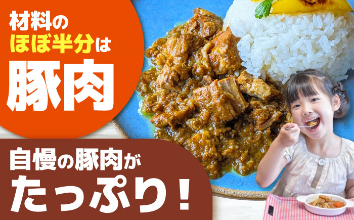 山のウエノ豚カレー（レトルトカレー）200g×2袋 大村市 /カレー 豚肉 ポーク 簡単調理/ 株式会社上野養豚 [ACBH005]