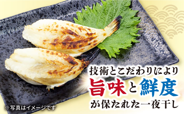 ふぐ 一夜干し 約1kg / ふぐ フグ 一夜干し 河豚 干物 ひもの / 大村市 / 株式会社ナガスイ[ACYQ003]