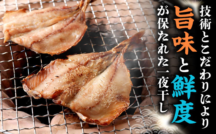 あじの開き 一夜干し 合計30枚 / アジ 鯵 あじ 干物 ひもの 一夜干し ひらき アジの開き / 大村市 / 株式会社ナガスイ[ACYQ020]