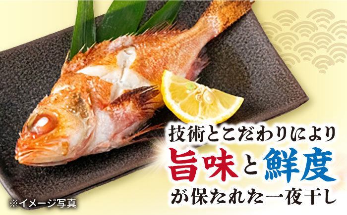 【12回定期便】赤むつ（のどぐろ）一夜干し 約200g～250g×2枚 / アカムツ 赤むつ 赤ムツ のどぐろ ノドグロ 一夜干し 高級魚  干物 ひもの / 大村市 / ナガスイ [ACYQ061]