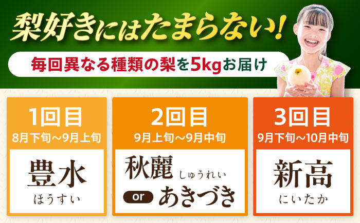 【3回定期便】 朝採り旬の梨 食べ比べ 約5kg/1回 梨定期便 フルーツ定期便 梨 ナシ なし フルーツ 果物 / 大村市 / 産直松吉 [ACZC010]