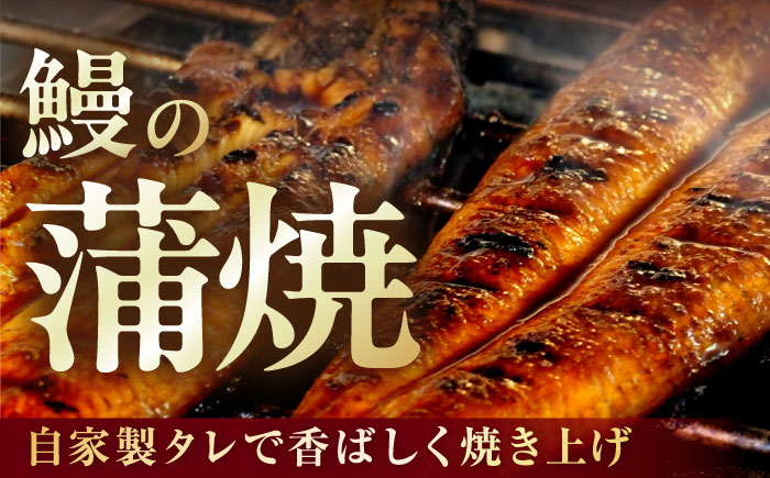 【年内発送】大村 鰻づくし （1）　（うなぎかば焼き1箱・うなむすび2個） [ACZL003]