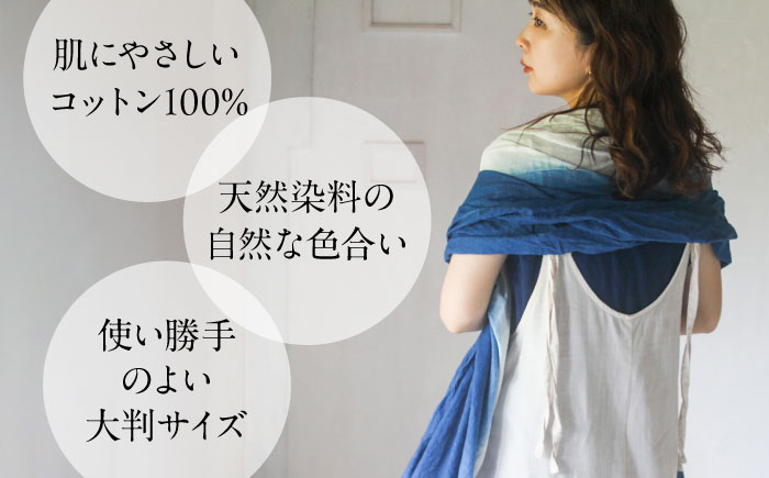 草木染め コットンショール 【藍染めグラデーション】　/ 大判 ショール ストール 草木染め 綿 綿100 ファッション 小物 レディース メンズ ギフト 贈答 プレゼント / 大村市 / ISTIST [ACZW050]
