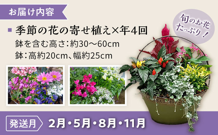 【4回定期便】おまかせ 季節の 寄せ植え プランター  / 観葉植物 鉢植え 鉢 植物 花 フラワー 旬 育てやすい 寄せ植え おしゃれ インテリア プランター / 大村市 / アトリウム琴花園[ACZZ009]