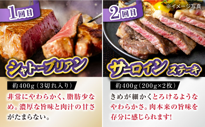 【6回定期便】長崎和牛お楽しみセット 金コース（シャトーブリアン・サーロインステーキ・長崎和牛入りハンバーグ・焼き肉用 カルビ・ロース・モモ） / 牛肉 ハンバーグ はんばーぐ おかず 惣菜 小分け やきにく もも 和牛 ステーキ/ / 大村市 かとりストアー [ACAN066]