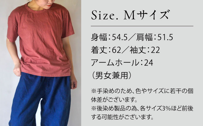 オーガニックコットン 完熟Tシャツ　【小豆色】Mサイズ / オーガニック コットン 綿100　手染め 草木染め Ｔシャツ 半袖 トップス ファッション インナー 女性用 レディース 男性用 メンズ ユニセックス 男女兼用 ギフト 贈答 プレゼント / 大村市 / ISTIST [ACZW057-2]