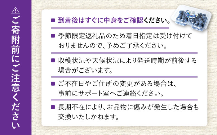 【2026年7月上旬頃より順次発送予定】冷凍ブルーベリー 1kg（250g×4袋）/ ベリー べりー ブルーベリー ぶるーべりー 冷凍 小分け 果物 くだもの フルーツ ふるーつ / 大村市 / おおむら夢ファームシュシュ[ACAA004]