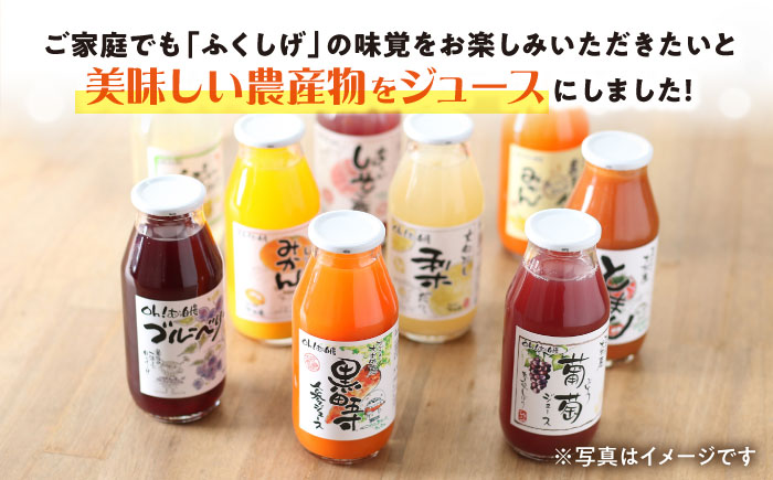 【年内発送】シュシュのジュース180ml×10本セット　定番おシュシュめセット / フルーツ ふるーつ ジュース じゅーす フルーツジュース ドリンク 飲料水 / 大村市 / おおむら夢ファームシュシュ[ACAA011]