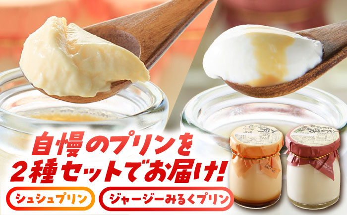 シュシュプリンとジャージーみるくプリンセット 6個入 / プリン ぷりん スイーツ ミルク みるく  / 大村市 / おおむら夢ファームシュシュ[ACAA013]