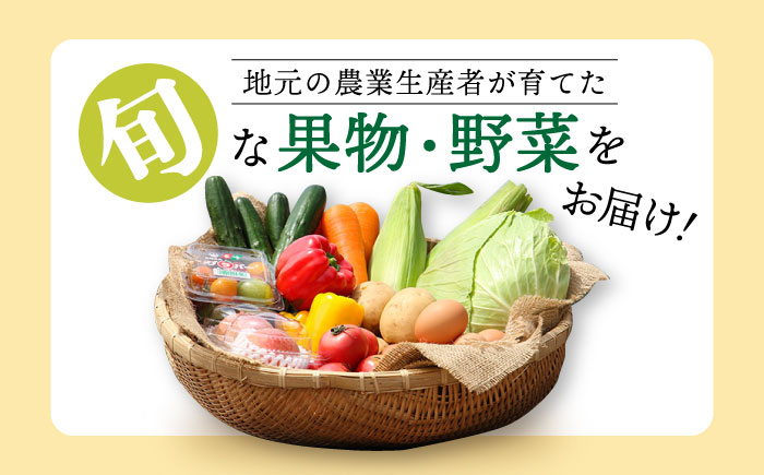 シュシュの農産物直売所から直送 野菜・果物の詰合せ / 野菜 やさい 果物 くだもの フルーツ ふるーつ 産地直送 / 大村市 / おおむら夢ファームシュシュ[ACAA032]