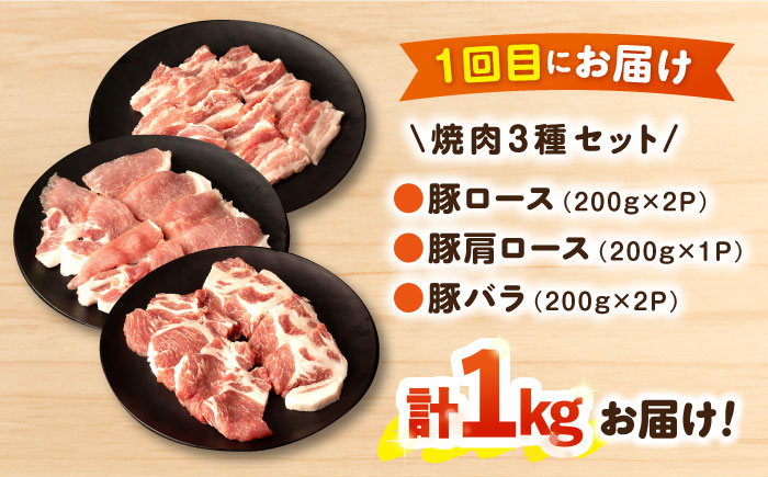 【3回定期便】毎月1kgお届け！ヘルシーポーク 焼肉・しゃぶしゃぶ・豚スライス セット 総量3kg / 豚肉 豚ロース ロース ろーす 豚モモ モモ もも 豚バラ バラ ばら 焼肉 しゃぶしゃぶ スライス 小分け 豚肉定期便 / 大村市 / おおむら夢ファームシュシュ[ACAA058]