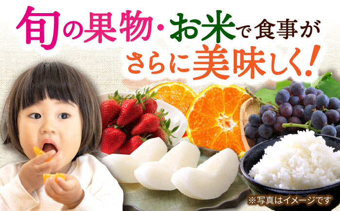 【5回定期便】厳選フルーツ＆旬のお米定期便（ いちご ぶどう 梨 お米 みかん ）/ イチゴ 苺 ブドウ 葡萄 なし ナシ 米 コメ こめ 白米 ミカン 蜜柑 フルーツ ふるーつ 果物 くだもの フルーツ定期便 / 大村市 / おおむら夢ファームシュシュ[ACAA082]