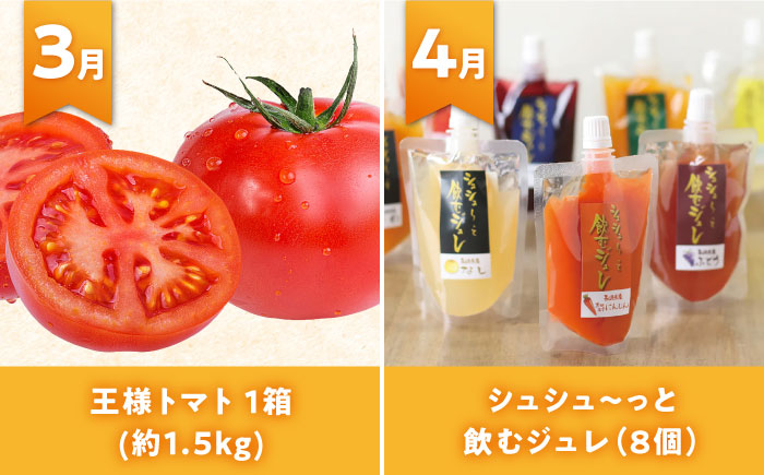 ※今後受付しない※【全12回定期便】シュシュ大人気コース復刻版１ 大村市 おおむら夢ファームシュシュ [ACAA093]