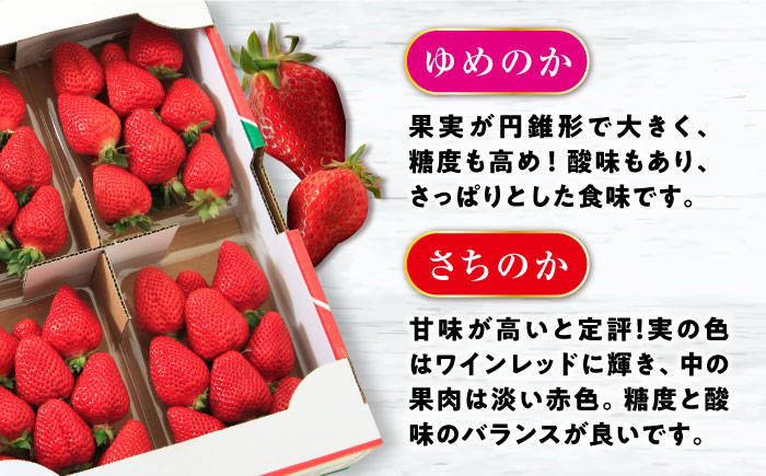 【2026年2月上旬より順次発送予定】いちご 1箱 (約250g×4P) 約1kg / いちご 苺 イチゴ フルーツ ふるーつ 果物 くだもの / 大村市 / おおむら夢ファームシュシュ[ACAA107]