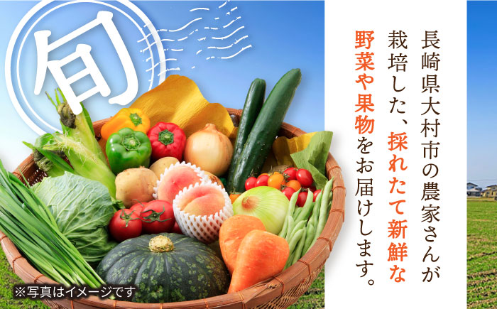 【5回定期便】旬の農産物 梨コース / 野菜 やさい 果物 くだもの フルーツ ふるーつ 産地直送 なし 梨 ナシ フルーツ定期便 / 大村市 / おおむら夢ファームシュシュ[ACAA121]