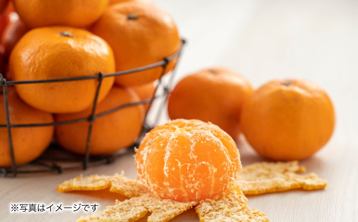 【2025年11月上旬より順次発送】みかん 7kg　/ みかん 果実 柑橘 / 大村市 / おおむら夢ファームシュシュ [ACAA378]