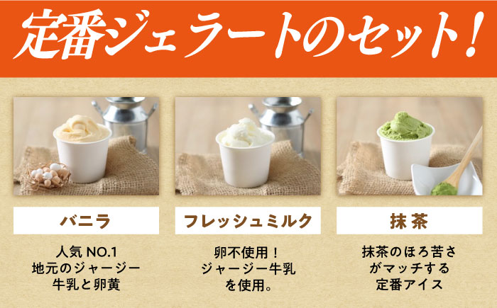 【3回定期便】シュシュ 定番ジェラート6個セット / アイス アイスクリーム ジェラート スイーツ /  大村市 / おおむら夢ファームシュシュ [ACAA406]