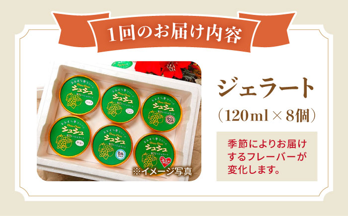 【12回定期便】シュシュ 季節のジェラート8個セット / アイス アイスクリーム ジェラート スイーツ /  大村市 / おおむら夢ファームシュシュ [ACAA419]