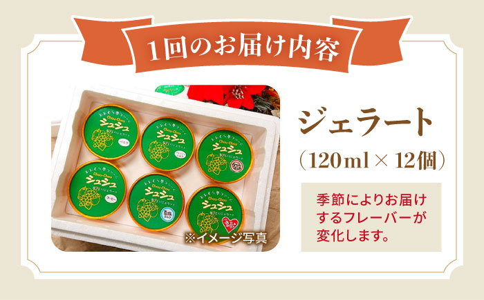 【3回定期便】シュシュのスペシャルジェラート12個セット（定番/季節限定/スペシャル2種） / アイス アイスクリーム ジェラート スイーツ /  大村市 / おおむら夢ファームシュシュ [ACAA420]