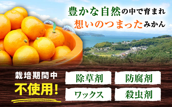 【11月中旬頃～1月中旬配送】長崎県産 温州みかん 約10kg 大村市 山光農園 [ACAI003]