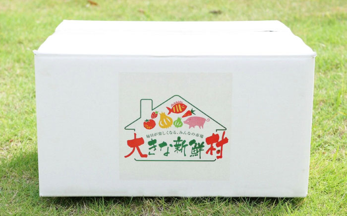 【全12回定期便】採れたてお野菜おまかせ（8～10種）・卵6個セット/ 野菜 やさい 野菜セット 野菜詰め合わせ 詰め合わせ セット たまご 卵 タマゴ 紅たまご こだまさんち / 大村市 / かとりストアー [ACAN138]