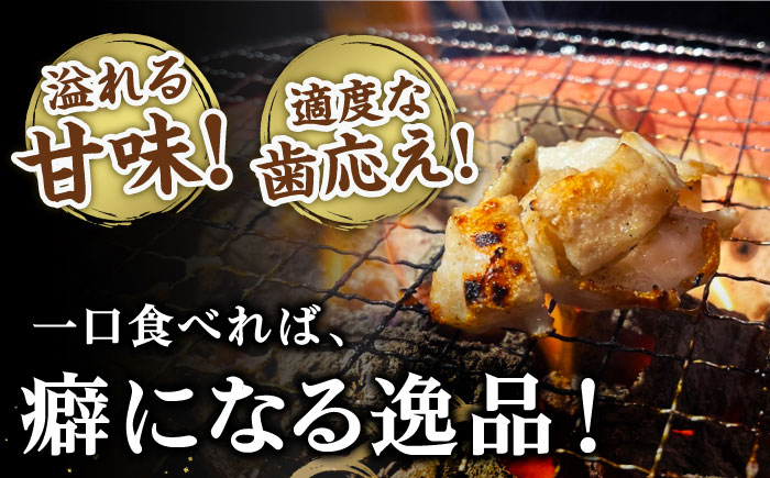 塩ホルモン ギアラ(第四の胃袋)200g×2パック 総計400g 大村市 塩ホルモンろくめい [ACAO001]