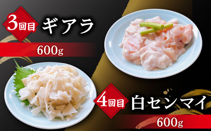 【全6回定期便】大村ホルモンセット計4.4kg 大村市 塩ホルモンろくめい [ACAO004]