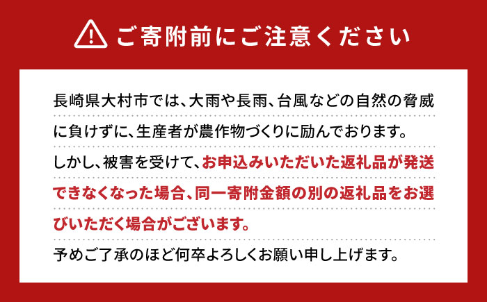 【2025年6月下旬から順次発送】 大村マンゴー 約800g (2L×2個) / 先行予約 マンゴー アップルマンゴー まんごー フルーツ トロピカルフルーツ 甘い 期間限定 国産 冷蔵配送  / 大村市 / 県央リサイクル開発[ACBC001]