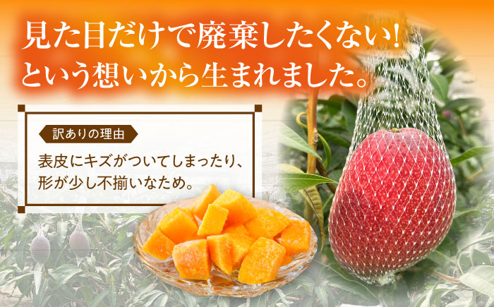 【糖度15度以上】おいしい 訳あり 冷凍大村産カットマンゴー 約600g (300g×2袋) 大村市 県央リサイクル開発/マンゴー 家庭用 訳あり 冷凍フルーツ 冷凍マンゴー カットマンゴー [ACBC002]