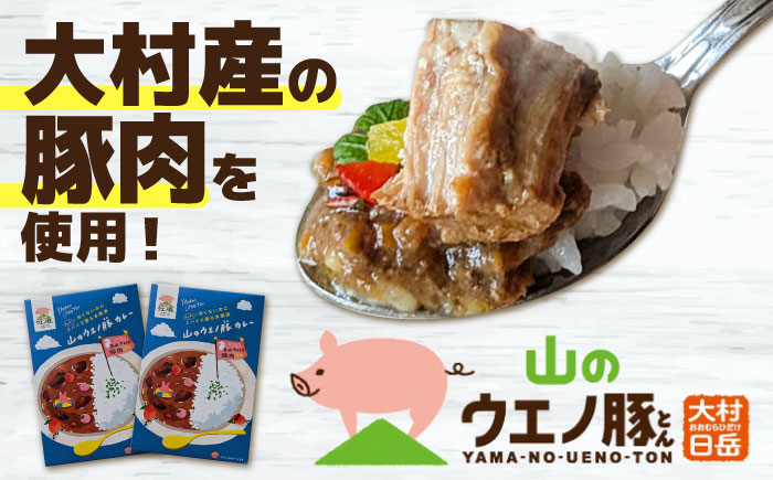 山のウエノ豚カレー（レトルトカレー）200g×2袋 大村市 /カレー 豚肉 ポーク 簡単調理/ 株式会社上野養豚 [ACBH005]