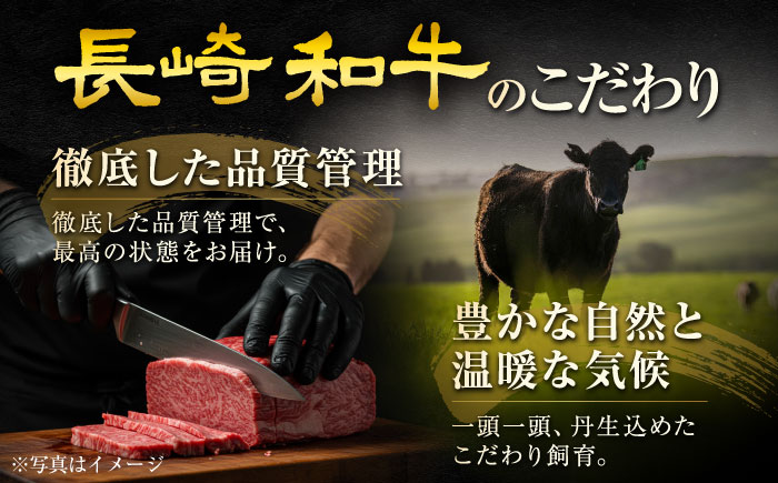【年内発送】長崎和牛 ハンバーグ 約200g×5個 / 和牛 ハンバーグ はんばーぐ ブランド肉 おかず 惣菜 お弁当 夕食 お肉 冷凍  / 大村市 / まるしん商会[ACCD001]