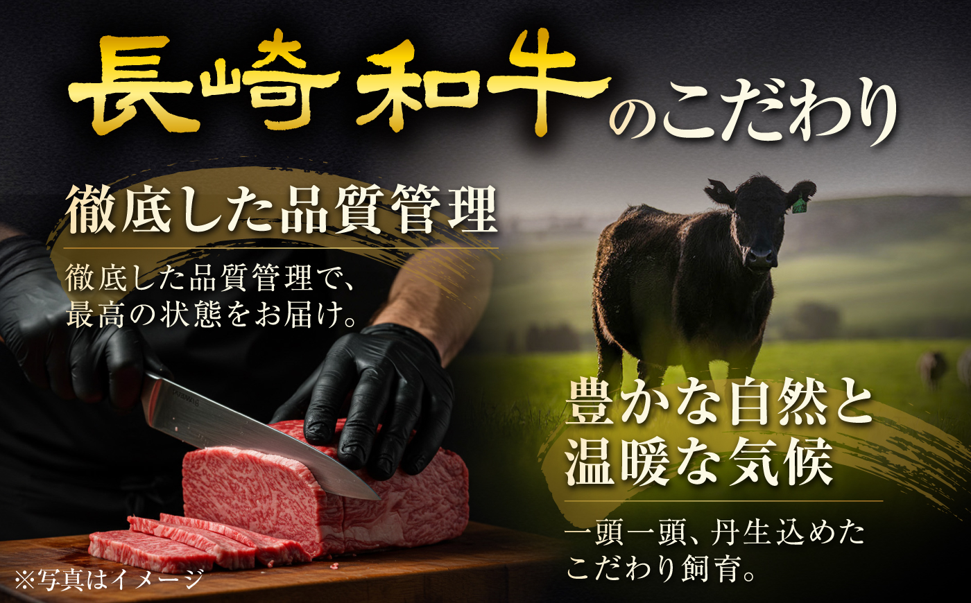 【12回定期便】長崎和牛ヒレステーキ 約100g×3枚/回/ ヒレ定期便 定期便 ステーキ すてーき ヒレ ひれ ヒレ ヒレステーキ ヒレ肉 和牛 牛肉 肉 牛 / 大村市 / まるしん商会 [ACCD059]